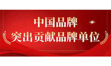 6686体育获评“突出贡献品牌单位”，树立中国品牌标杆力量